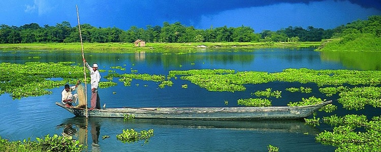 Majuli