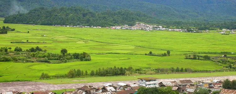 Ziro