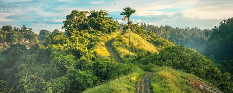 Chittagong Hills