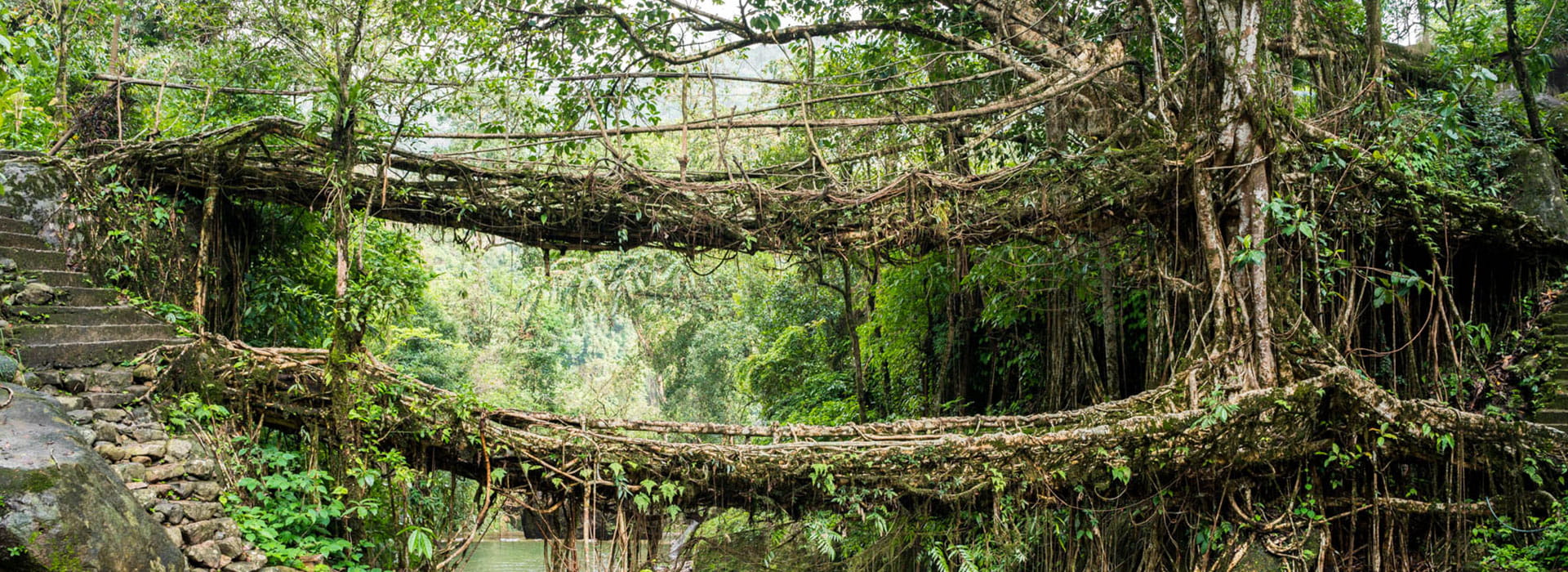 Meghalaya